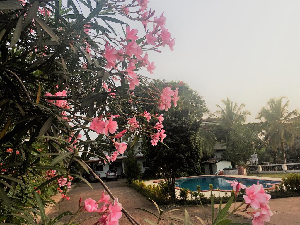 Gr Stays - Duplex 3Bhk Villa With Pool Arpora I Baga Beach 5 Mins מראה חיצוני תמונה